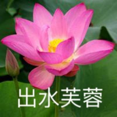 化芯物语手游测试版下载